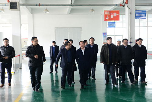 王顶岐参观考察乐动网页版公司