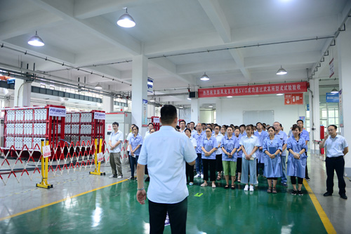 乐动网页版百兆级高压水冷SVG成功通过中国电科院型式试验检测验收